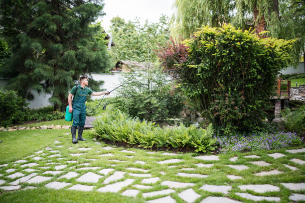 Best Pest Prevention Services  in Lantana, FL