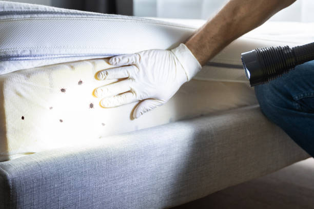 Wildlife Control Services in Lantana, FL