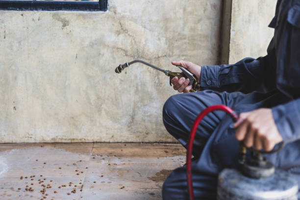 Best Termite Control Services  in Lantana, FL